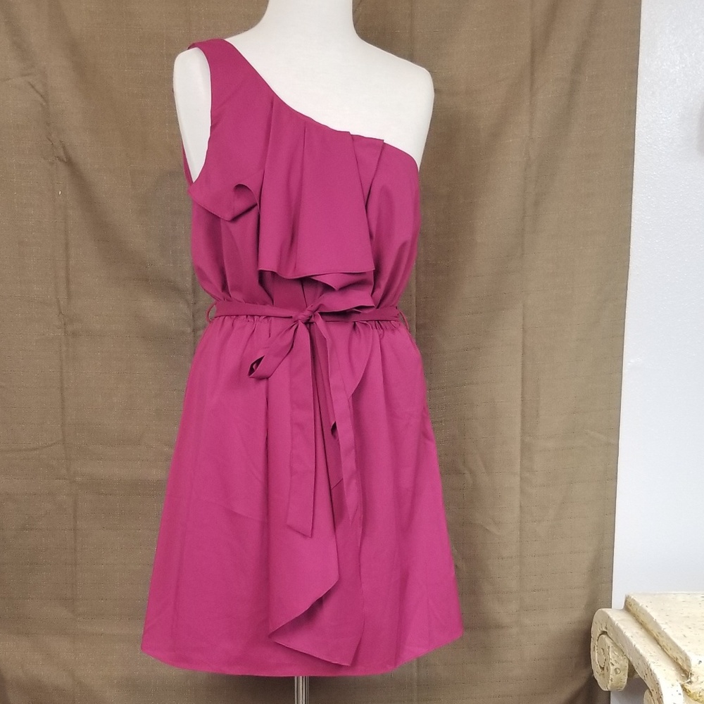 ROSEBUD pink dress